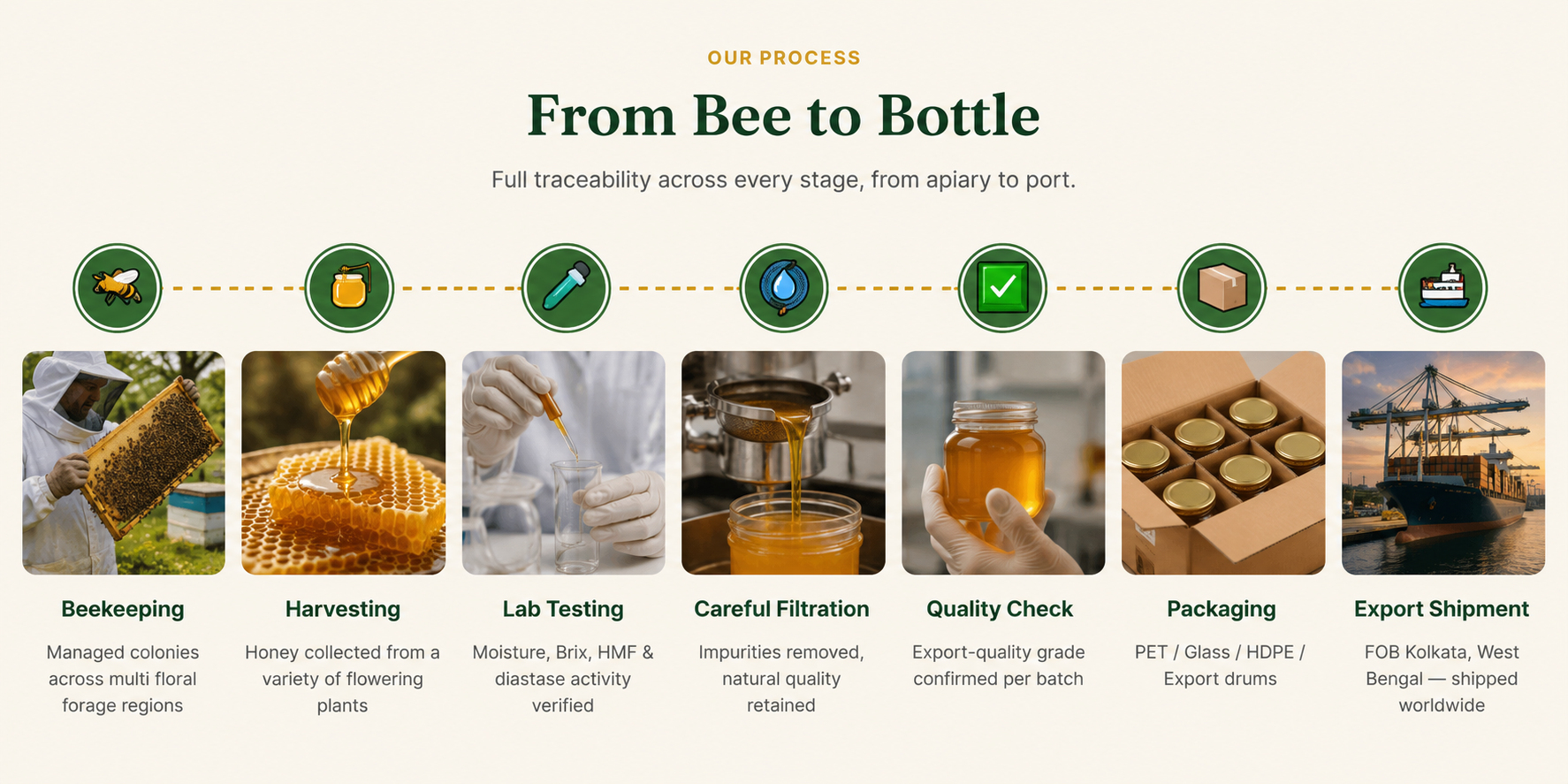 From Bee to Bottle - Our Process